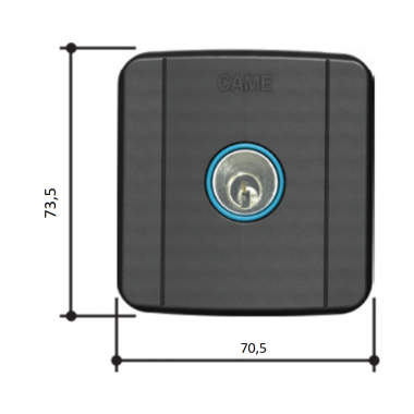 CAME SELD2FDG (806SL-0060) Ключ-выключатель накладной с цилиндром замка
