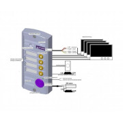 Activision AVP-454 PAL многоабонентская цветная CVBS видеопанель